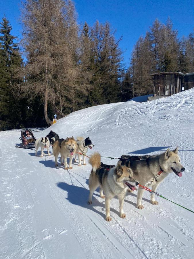 Apartament Plagne Bellecote - 5 Pers - Vue Pistes - Acces Piscine Chauffee La Plagne Zewnętrze zdjęcie